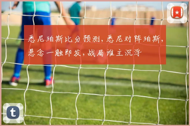 悉尼珀斯比分预测,悉尼对阵珀斯,悬念一触即发,战局谁主沉浮