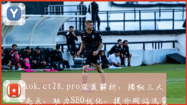 kok.ct28.pro深度解析，揭秘三大亮点，助力SEO优化，提升网站流量
