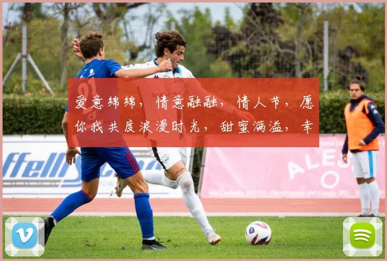 爱意绵绵，情意融融，情人节，愿你我共度浪漫时光，甜蜜满溢，幸福永恒。