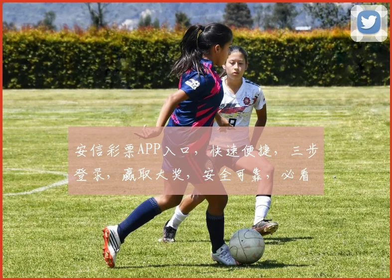 安信彩票APP入口，快速便捷，三步登录，赢取大奖，安全可靠，必看攻略