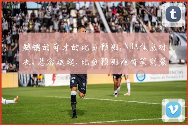 鹈鹕的奇才的比分预测,NBA焦点对决,悬念迭起,比分预测谁将笑到最后
