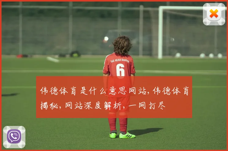 伟德体育是什么意思网站,伟德体育揭秘,网站深度解析,一网打尽